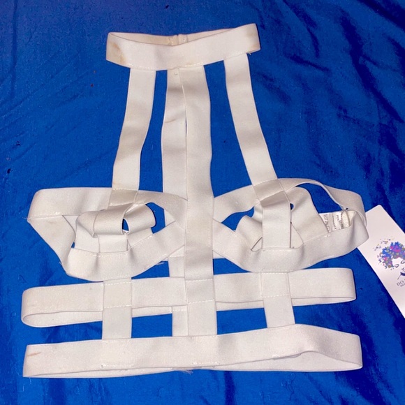 Cage Top - Picture 1 of 3